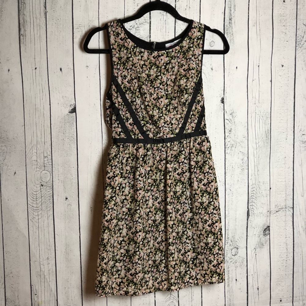 Pink Paisley Sleeveless Dress
